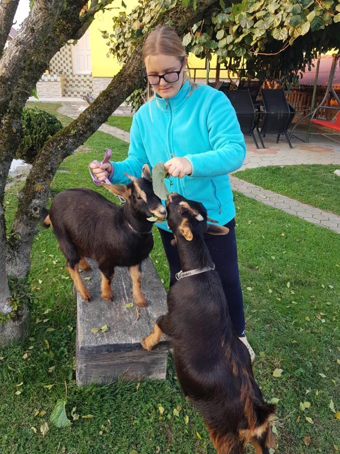 Homestay Kapl Ledinek Ngoại thất bức ảnh